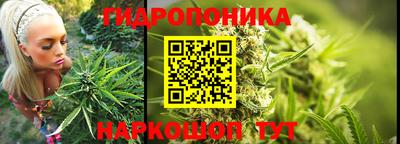 твердый Краснознаменск
