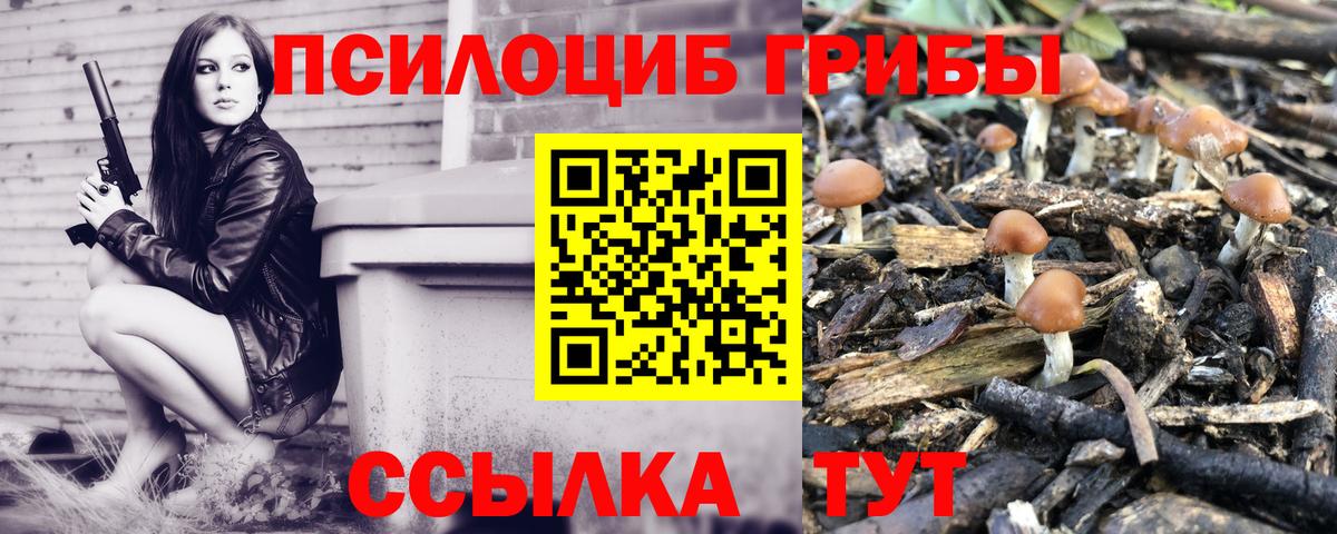 Канаш  Галлюциногенные грибы Cubensis  Вход с VPN 